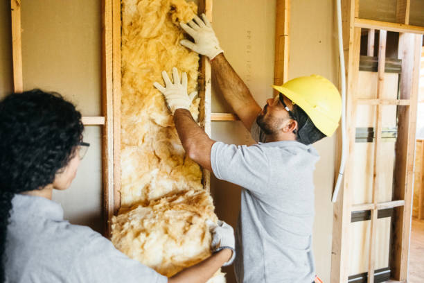 Reliable Johnson City, TN Insulation Services Solutions